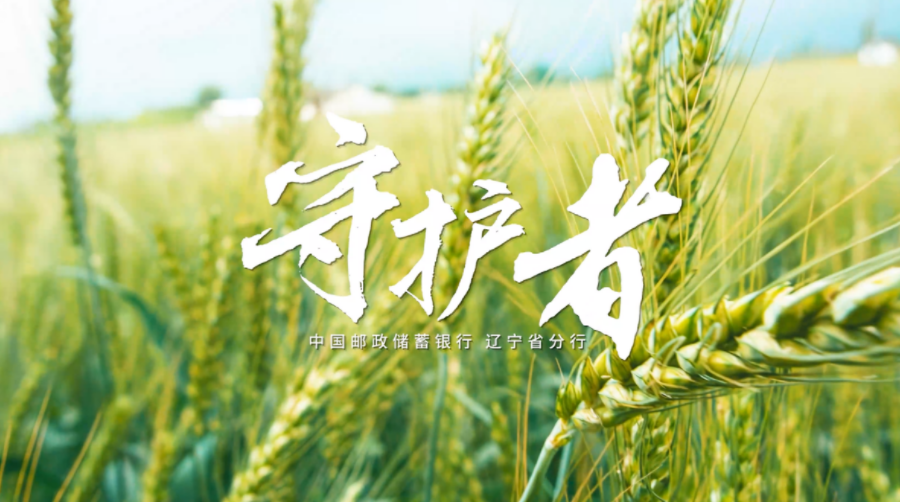 《守護(hù)者》——郵儲(chǔ)銀行遼寧省分行2023年三農(nóng)宣傳片